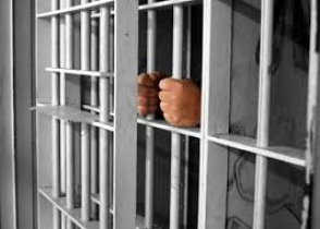 «Սևան» ՔԿՀ-ի պետի և աշխատակիցների նկատմամբ կարգապահական տույժ է կիրառվել